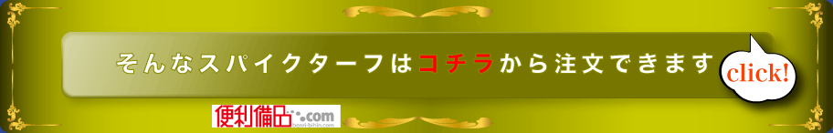 そんなスパイクターフはコチラから注文できます　便利備品